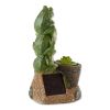 Accent Plus Solar Light-Up Rotating Frog Garden Decor