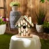 Songbird Valley Knotty Wood Moss-Covered Bird House