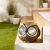 Accent Plus Owl Solar Garden Light - 7.5 inches