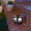 Accent Plus Owl Solar Garden Light - 5.5 inches