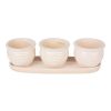 Accent Plus Ceramic Mini Planter Set - Ivory Round