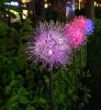 Garden LED Ball Dandelion Flower Stake Light Solar Energy Rechargeable