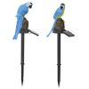 Solar Powered Parrot Garden Light IP65 Waterproof LED Parrot Landscape Lamp Decorative Lawn Lights