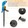 Solar Powered Parrot Garden Light IP65 Waterproof LED Parrot Landscape Lamp Decorative Lawn Lights